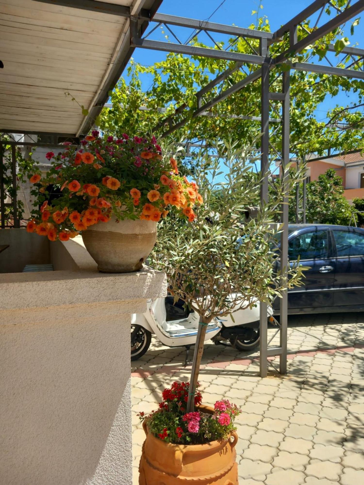 Vila Nina Donji Stoj Ulcinj Ngoại thất bức ảnh